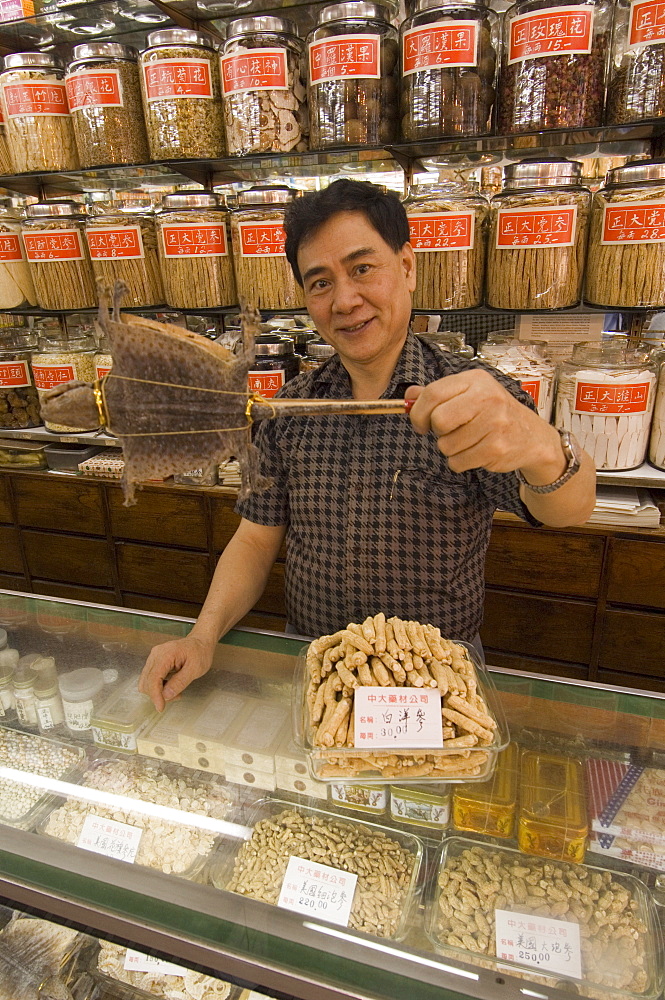 Traditional Chinese medicine, Mong Kok district, Kowloon, Hong Kong, China, Asia