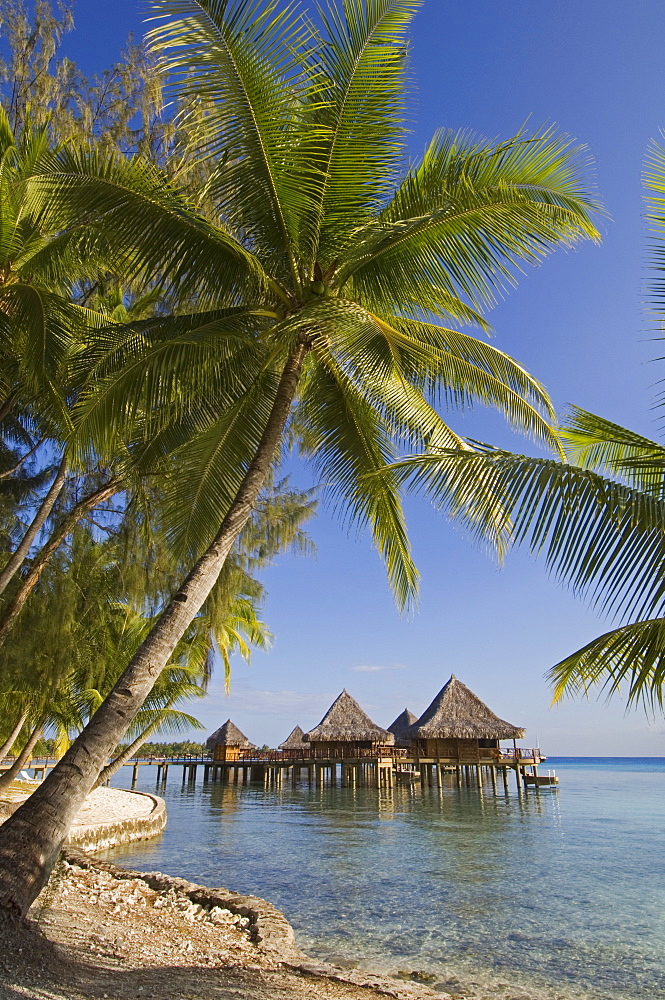 Kia Ora Resort, Rangiroa, Tuamotu Archipelago, French Polynesia, Pacific Islands, Pacific