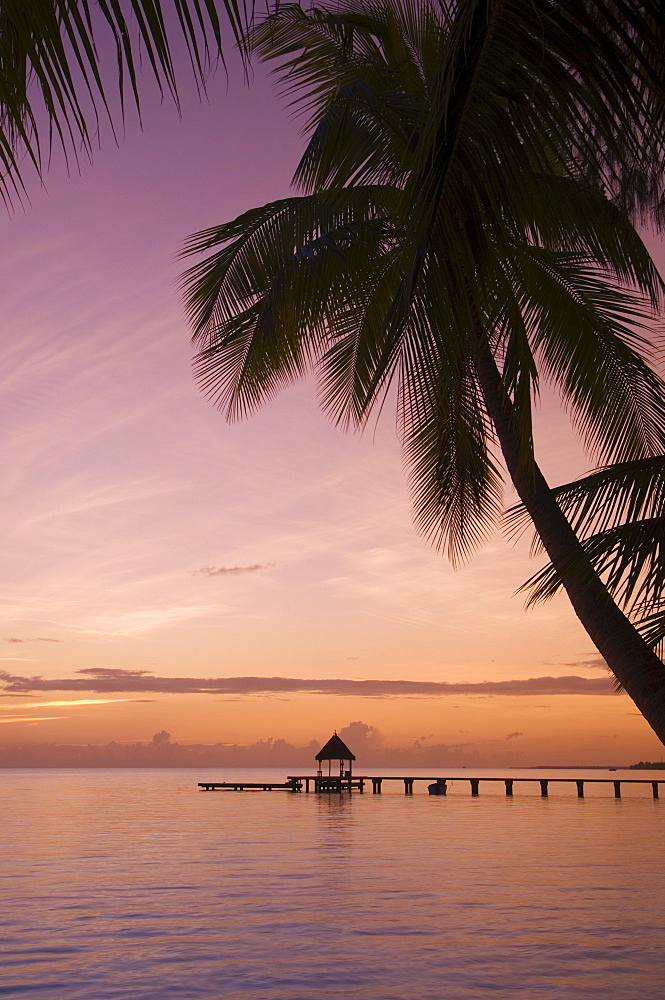 Rangiroa, Tuamotu Archipelago, French Polynesia, Pacific Islands, Pacific