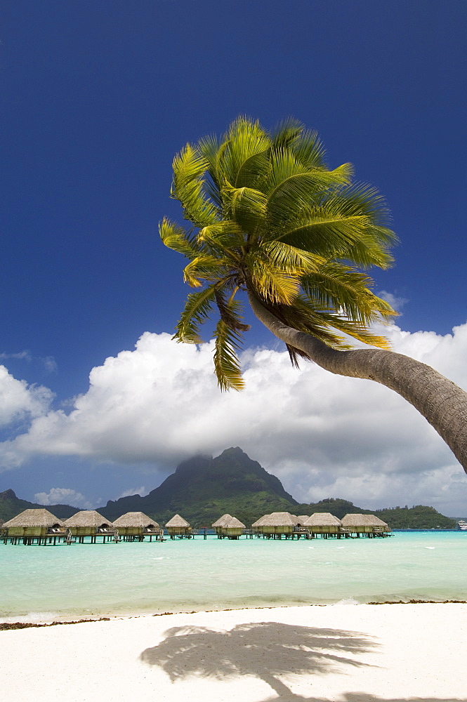 Pearl Beach Resort, Bora-Bora, Leeward group, Society Islands, French Polynesia, Pacific Islands, Pacific