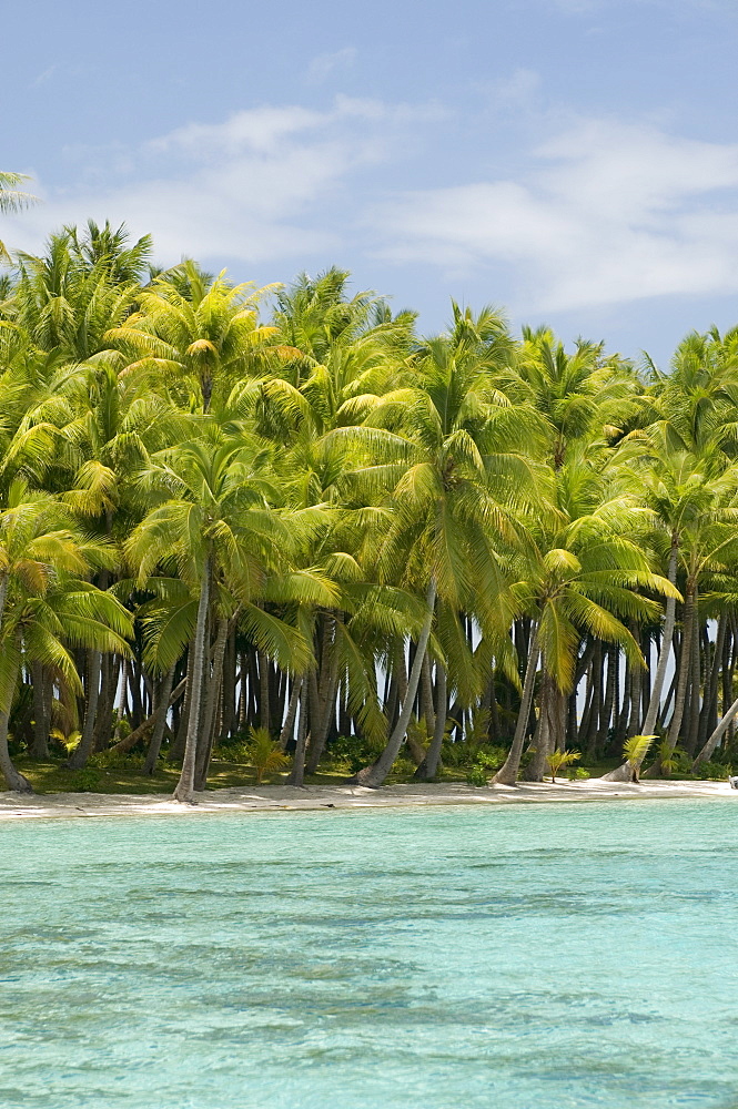 Bora-Bora, Leeward group, Society Islands, French Polynesia, Pacific Islands, Pacific