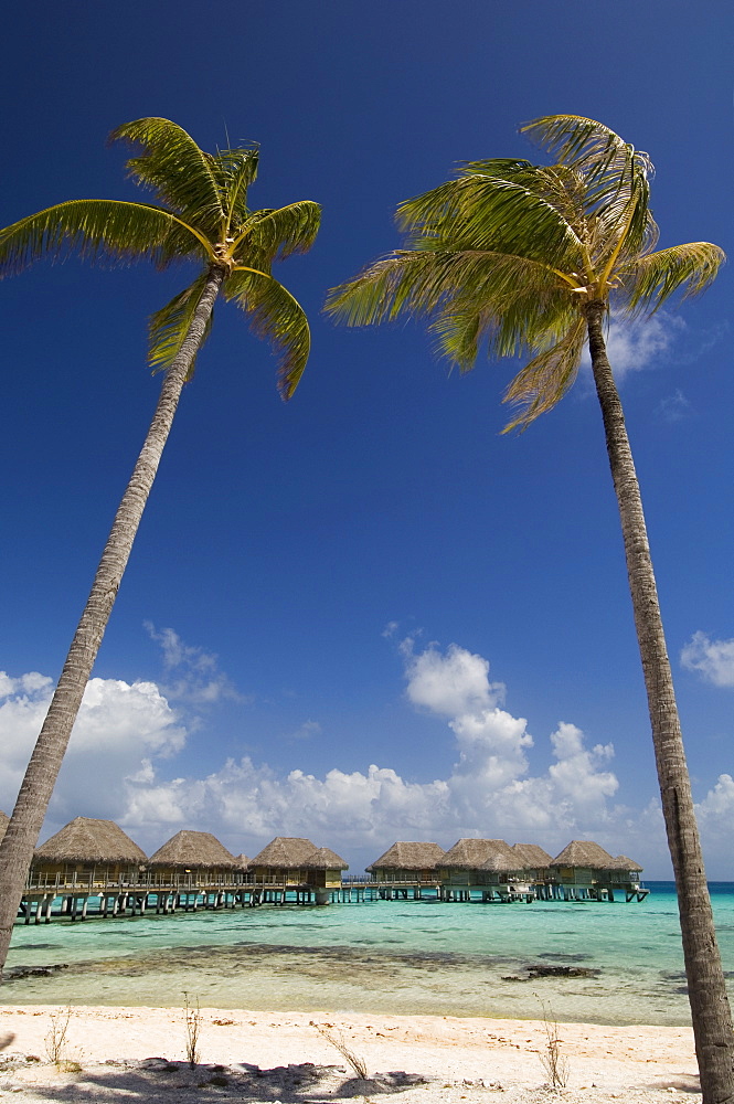 Pearl Beach Resort, Tikehau, Tuamotu Archipelago, French Polynesia, Pacific Islands, Pacific