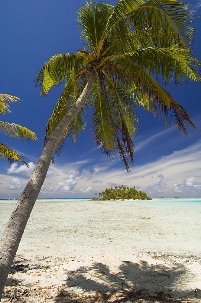 Blue Lagoon, Rangiroa, Tuamotu Archipelago, French Polynesia, Pacific Islands, Pacific