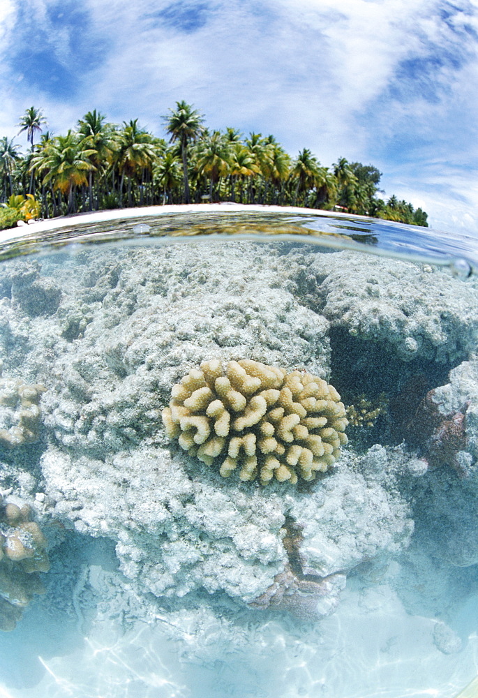 Fakarawa, Tuamotu Archipelago, French Polynesia, Pacific Islands, Pacific