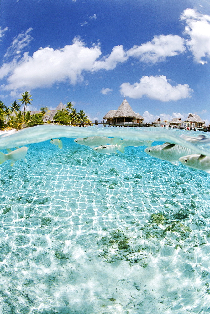 Le Maitai Hotel, Fakarawa, Tuamotu archipelago, French Polynesia.