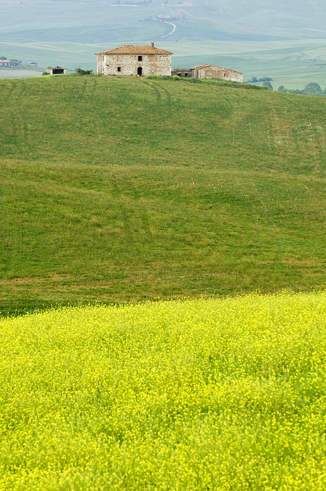 Countryside near San Quirico d'Orcia, Val d'Orcia, Siena province, Tuscany, Italy, Europe