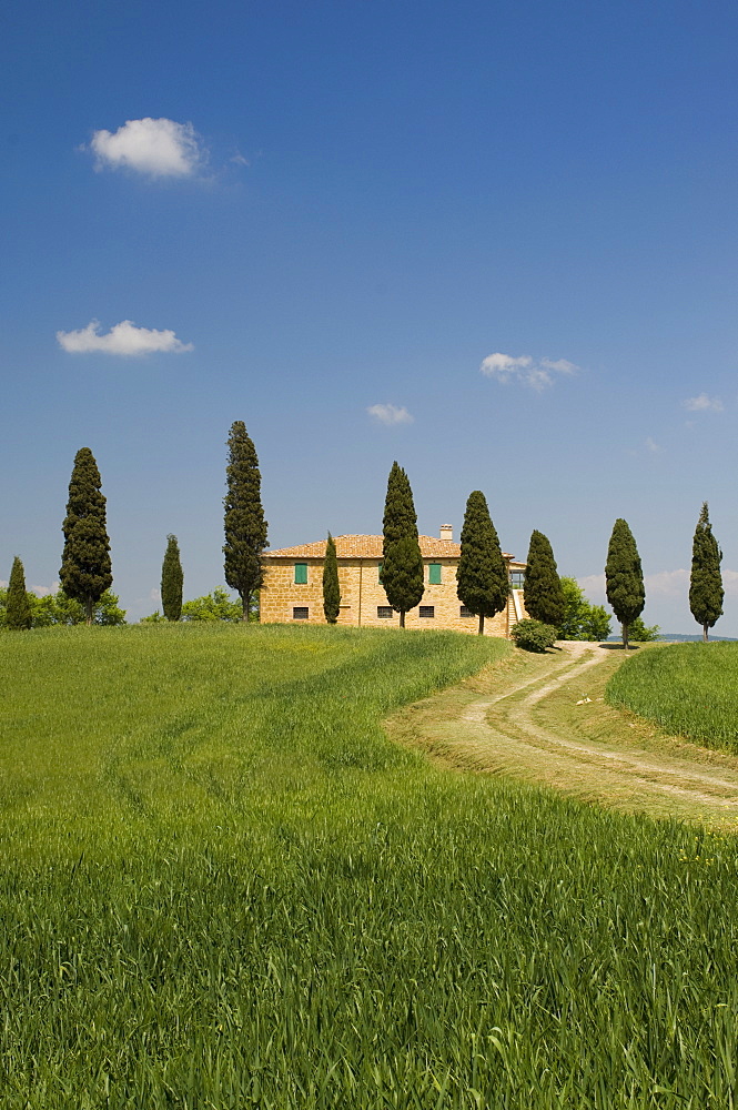 Countryside near Pienza, Val d'Orcia, Siena province, Tuscany, Italy, Europe