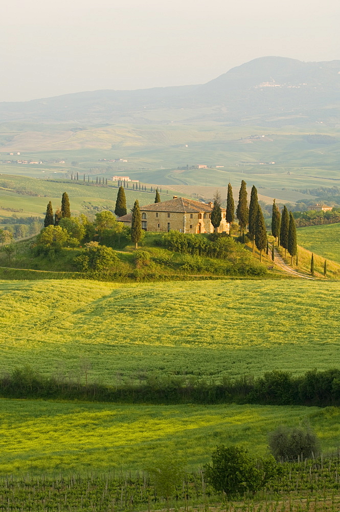 Country house, Il Belvedere, San Quirico d'Orcia, Val d'Orcia, Siena province, Tuscany, Italy, Europe