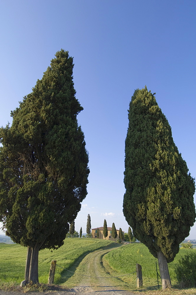 Pienza, Val d'Orcia, Siena province, Tuscany, Italy, Europe