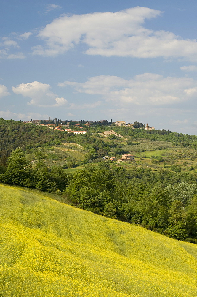 Countryside near Montepulciano, Val d'Orcia, Siena province, Tuscany, Italy, Europe