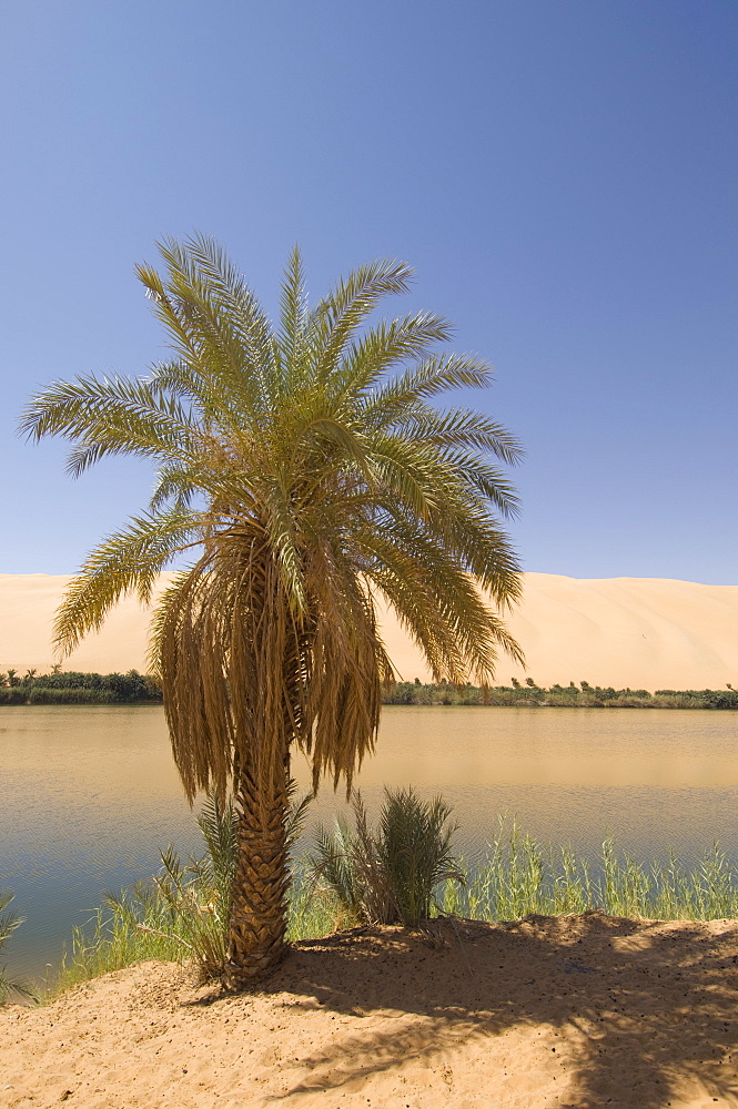 Gabroun lake, Erg Awbari, Sahara desert, Fezzan, Libya, North Africa, Africa