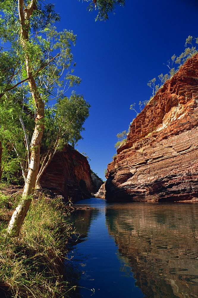 Hamersley Gorge, Karijini National Park, Pilbara, Western Australia, Australia, Pacific