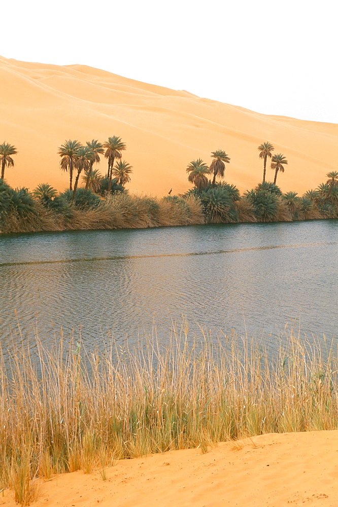 Lake, Erg Ubari, Sahara desert, Fezzan, Libya, North Africa, Africa