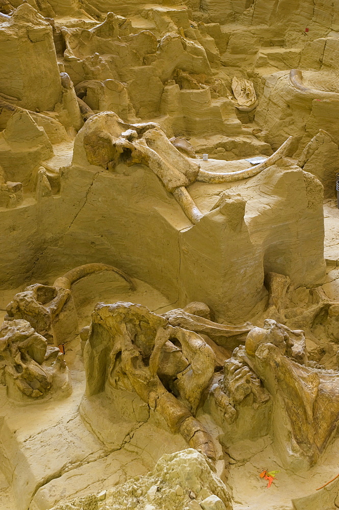 The Mammoth Site, Hot Springs, Black Hills, South Dakota, United States of America, North America