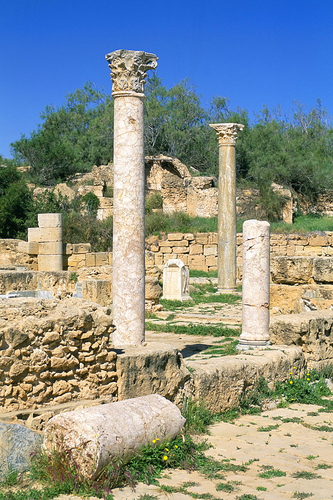 Leptis Magna, UNESCO World Heritage Site, Tripolitania, Libya, North Africa, Africa