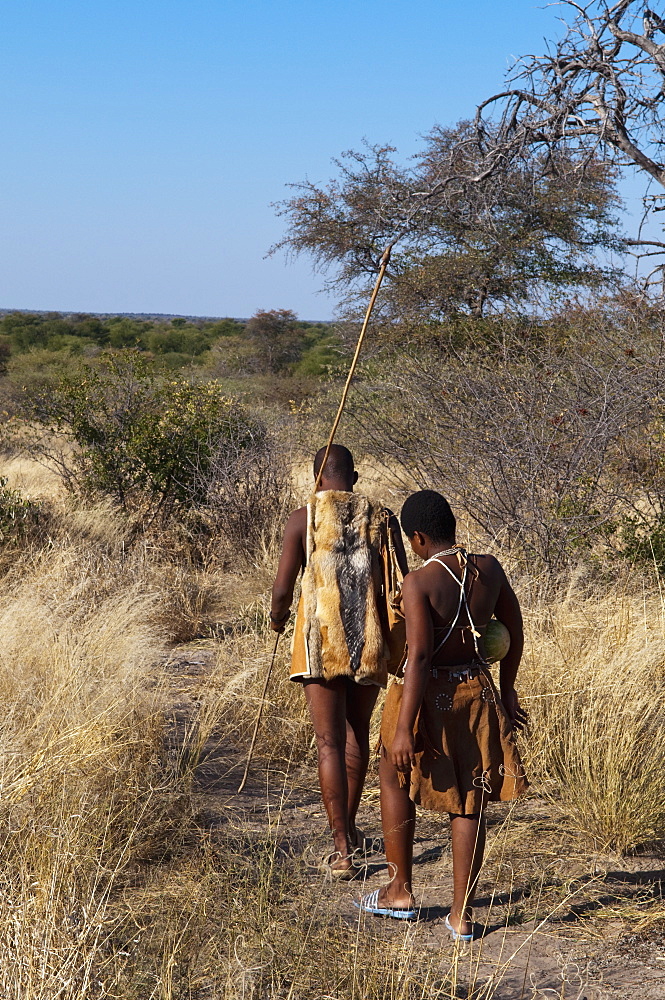 Kalahari Plains Camp, Deception Valley, Central Kalahari Game Reserve, Botswana, Africa