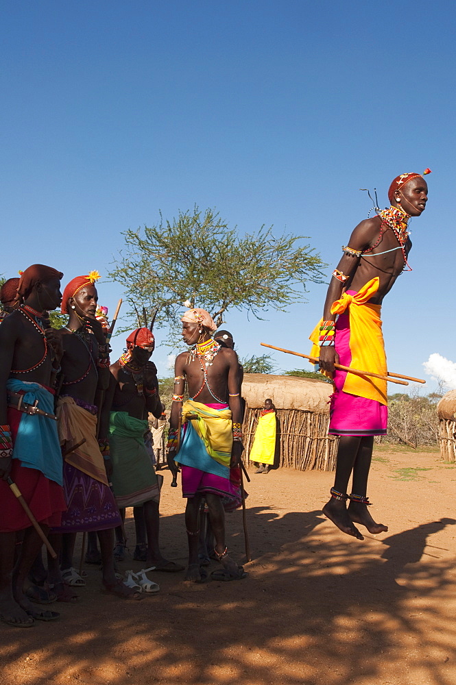 Samburu tribesmen performing traditional dance, Loisaba Wilderness Conservancy, Laikipia, Kenya, East Africa, Africa