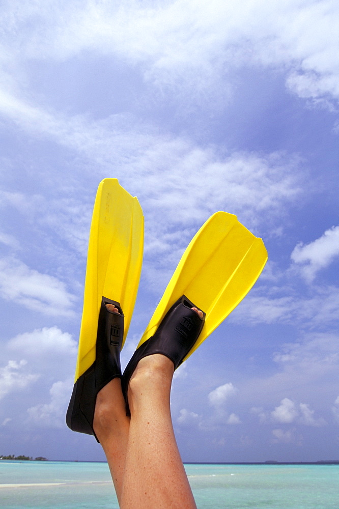 Flippers, North Male Atoll, Maldives, Indian Ocean, Asia