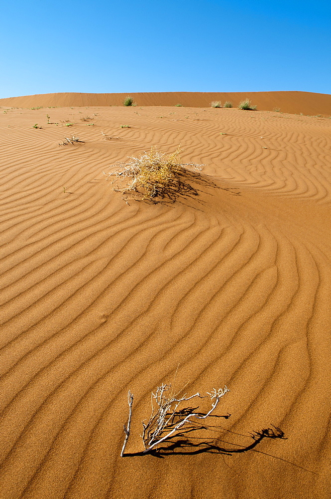 Sossusvlei, Namib Naukluft Park, Namib Desert, Namibia, Africa