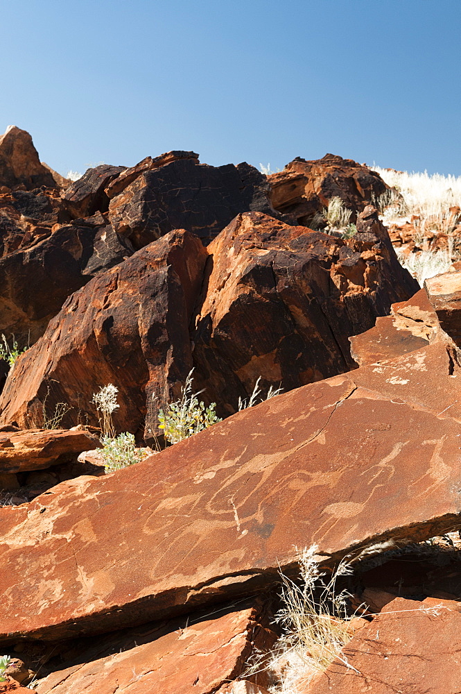 Rock engravings, Huab River Valley, Torra Conservancy, Damaraland, Namibia, Africa