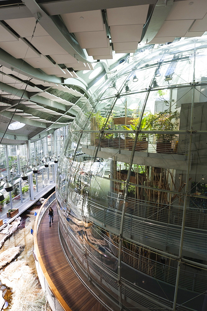 California Academy of Sciences, Golden Gate Park, San Francisco, California, United States of America, North America