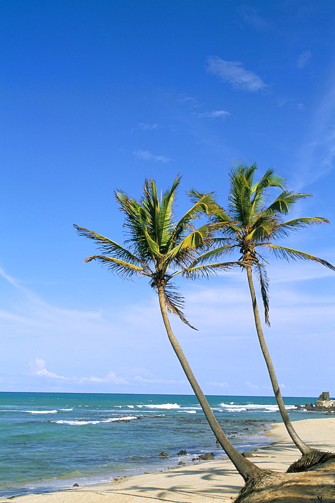 Praia do Amor, Pipa (Natal), Rio Grande do Norte state, Brazil, South America