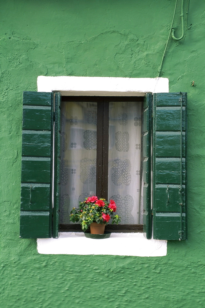 Flower pot on window sill, Burano, Venice, Veneto, Italy, Europe