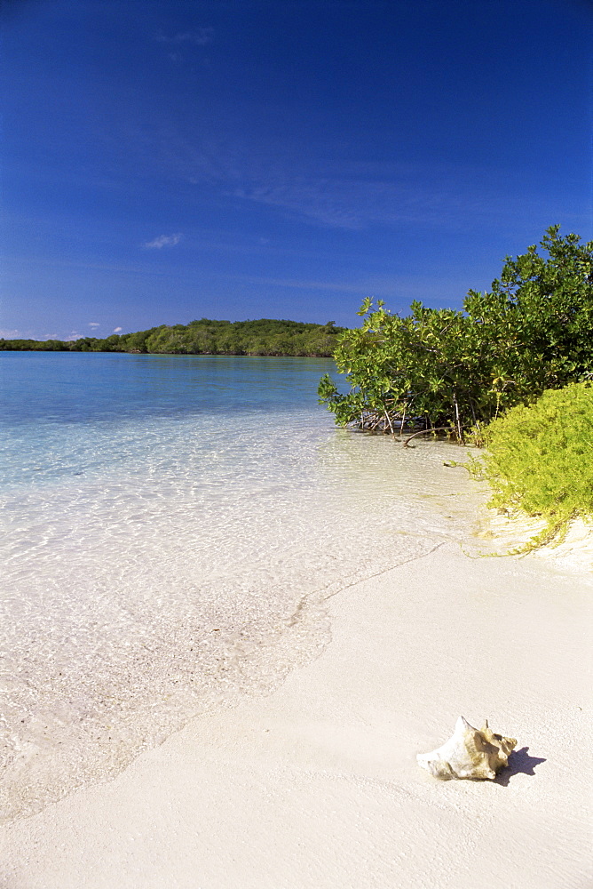 Lanqui, Los Roques, Venezuela, South America