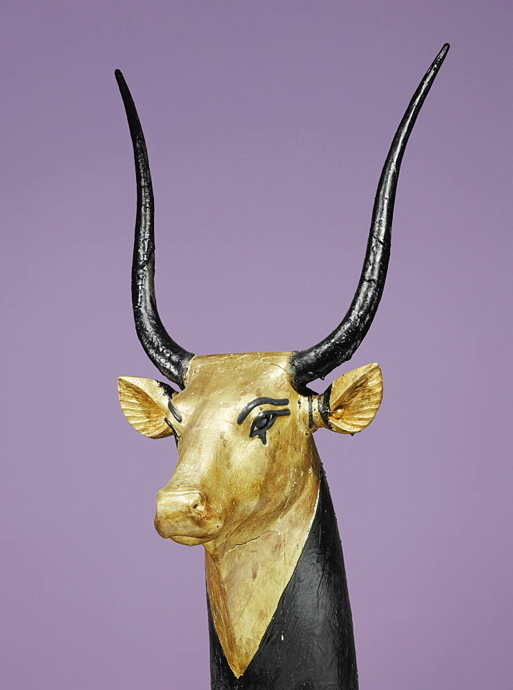 Gilded and stuccoed wooden head of the sacred cow, from the tomb of the pharaoh Tutankhamun, discovered in the Valley of the Kings, Thebes, Egypt, North Africa, Africa