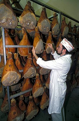 Prosciuttificio Wolf, Sauris, Friuli Venezia Giulia, Italy.