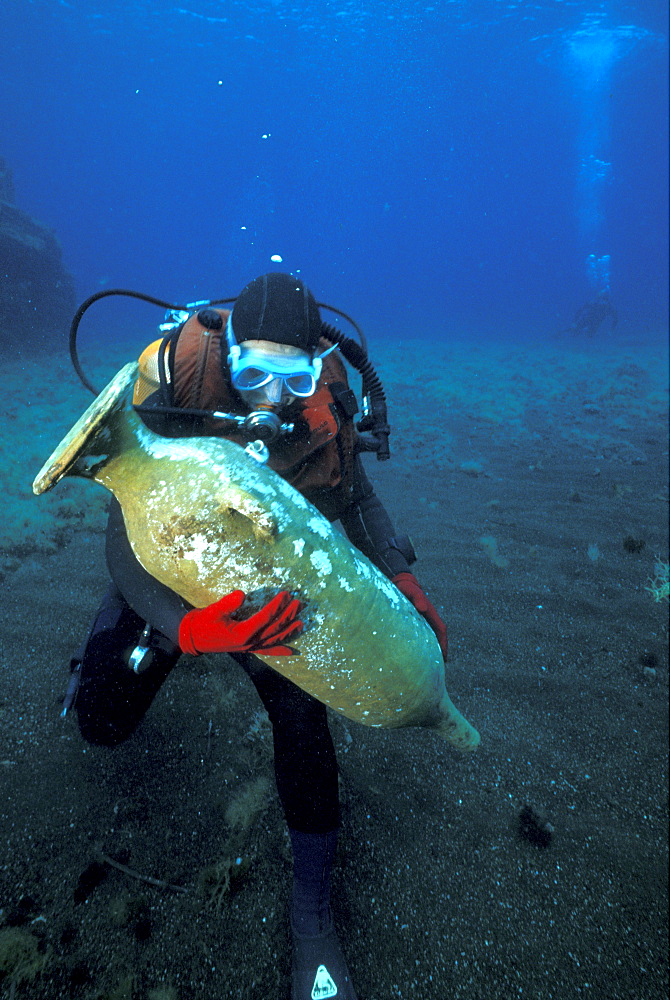 Amphora, Pantelleria, Italy
