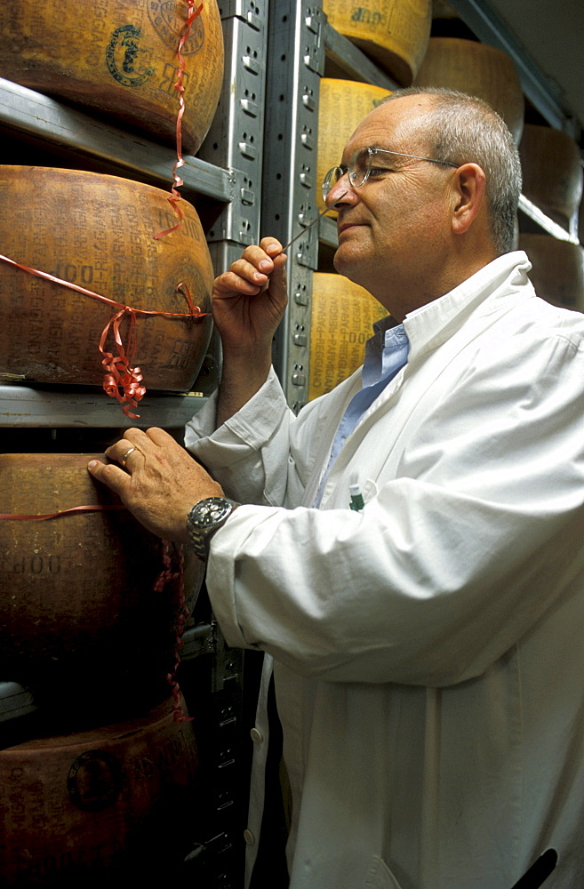 Carlo Fiori tasting cheese dealer, Guffanti cheese, Arona, Piedmont, Italy.