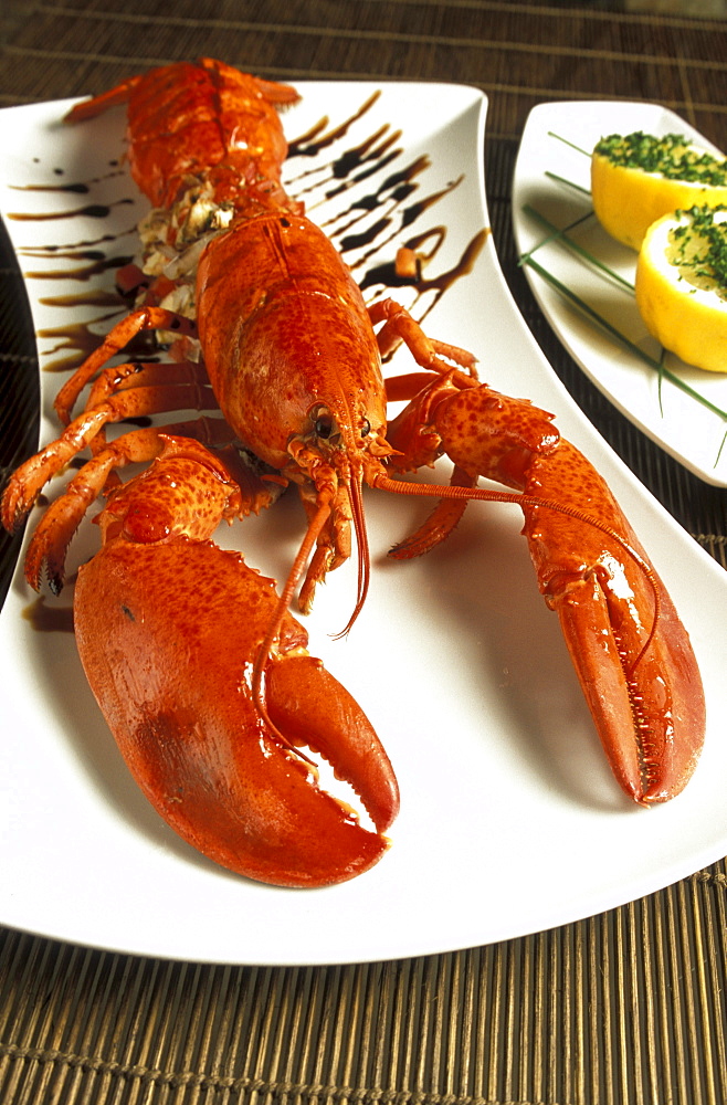 Lobster, Centrale restaurant, Venice, Veneto, Italy