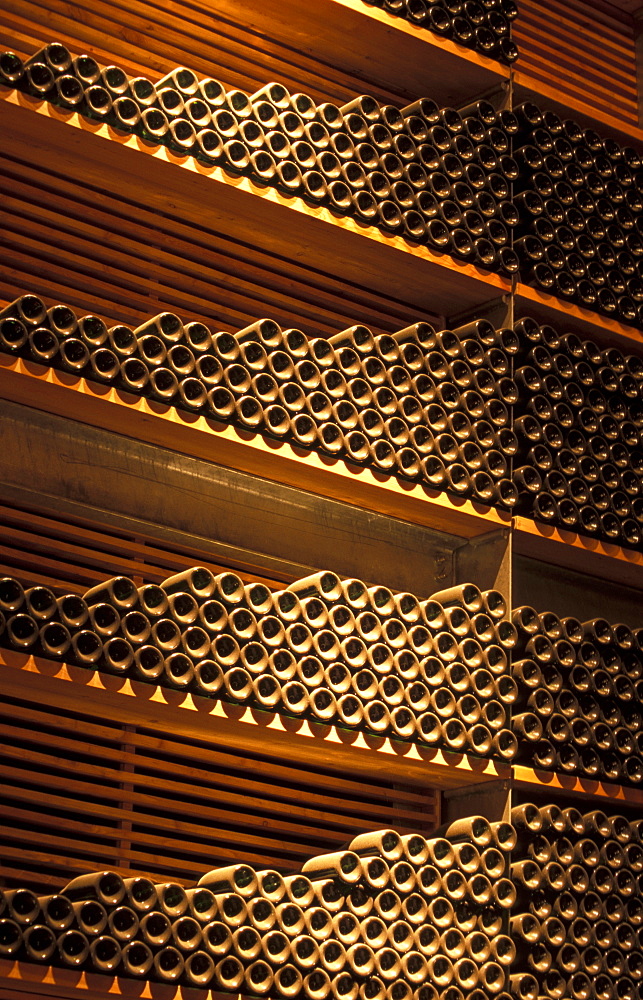 Bottles, Cantina Rotari farm, Mezzocorona, Piana Rotaliana, Trentino Alto Adige, Italy