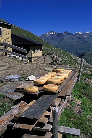 Malga dell'Alpe, Strada del Gavia, Stelvio National Park, Alto Adige, Italy