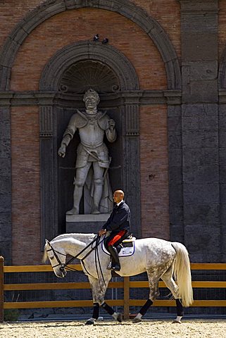 Riding Show "Piazza del Plebiscito", Naples, Campania, Italy