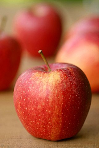 Apple "Royal Gala", Italy