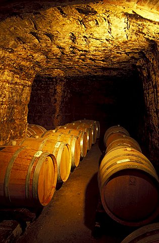 Wine cellar, Castellinaldo, Langhe, Piedmont, Italy.