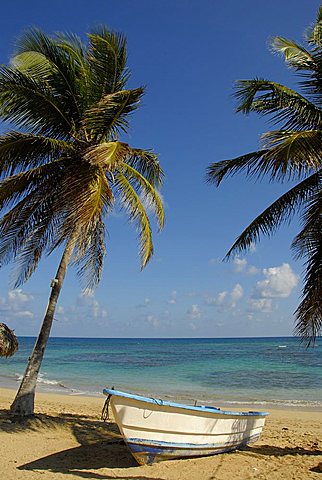 Landscape, Punta Cana, Dominican Republic, West Indies, Central America