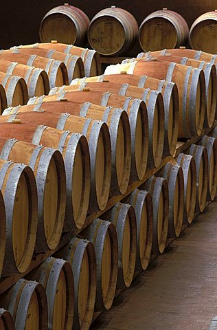 Winery of Brolio, Gaiole in Chianti, Tuscany, Italy