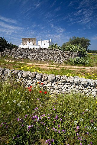 Masseria Ottava Grande, Fasano, Puglia, Italy