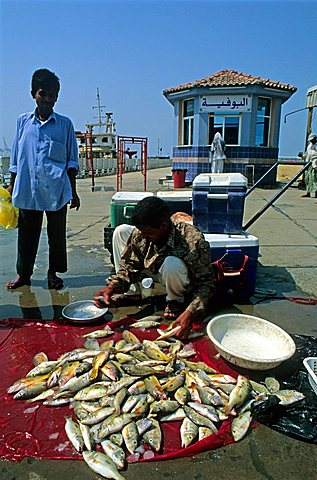 Fish market, Jeddah, Saudi Arabia, Middle East