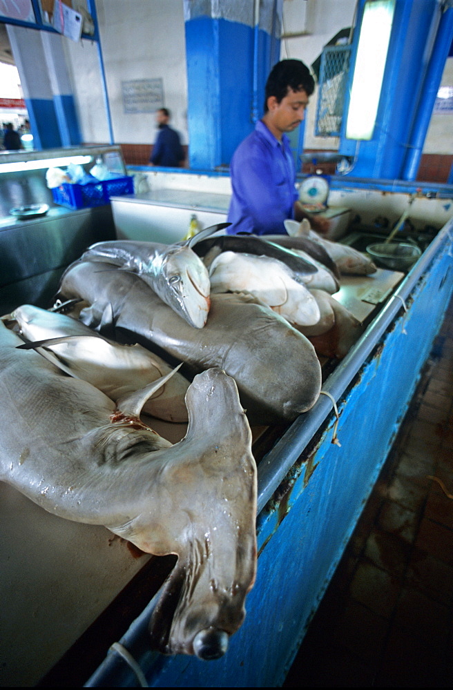 Fish market, Jeddah, Saudi Arabia, Middle East