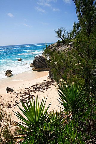 Horseshoe Bay, Bermuda, Atlantic Ocean, Central America