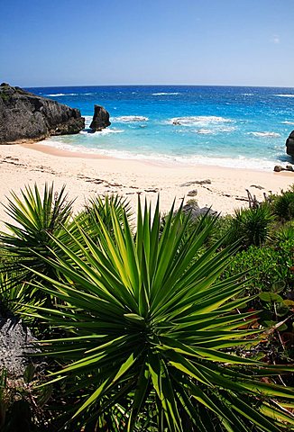 Horseshoe Bay, Bermuda, Atlantic Ocean, Central America