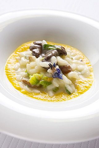 Risotto with mushrooms, pumpkin and its flower, Fabio Barbaglini chef, Italy, Europe