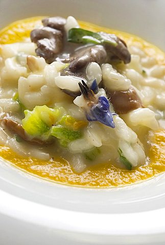 Risotto with mushrooms, pumpkin and its flower, Fabio Barbaglini chef, Italy, Europe