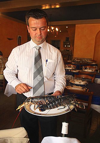 Lobster restaurant, Roscoff, Finistère department , Bretagne, France, Europe