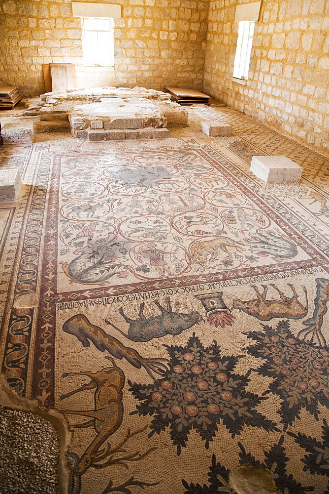 Middle East, Jordan, Lot and Procopio Mosaics, near Mont Nebo, a hidden mosaic of extraordinary beauty