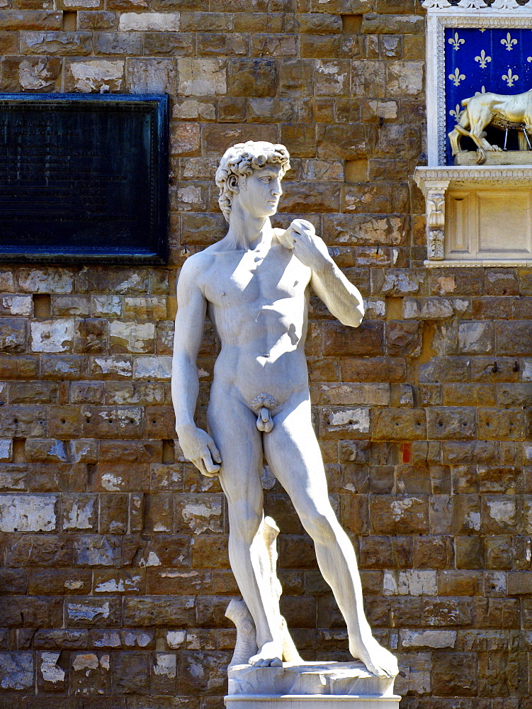 Piazza della Signoria square, copy of David of Michelangiolo, Florence, Tuscany, Italy, Europe, UNESCO World Heritage Site